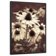 framed-print-black-standard