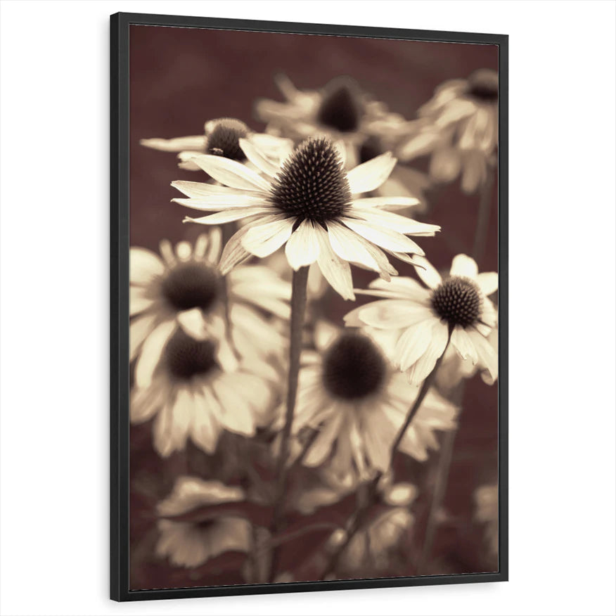 framed-print-black-standard
