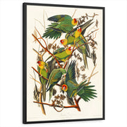 framed-print-black-standard