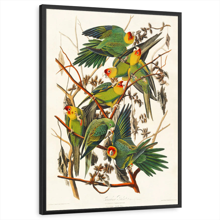 framed-print-black-standard
