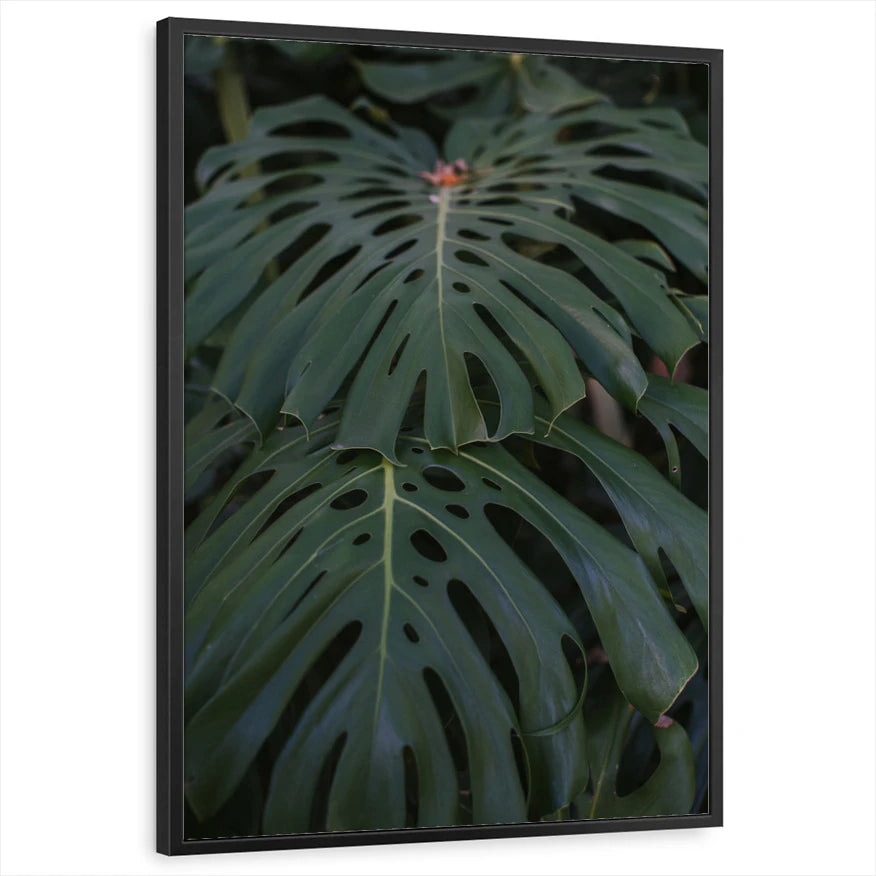 framed-print-black-standard