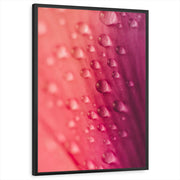 framed-print-black-standard