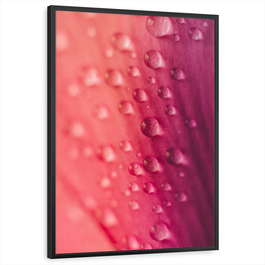 framed-print-black-standard