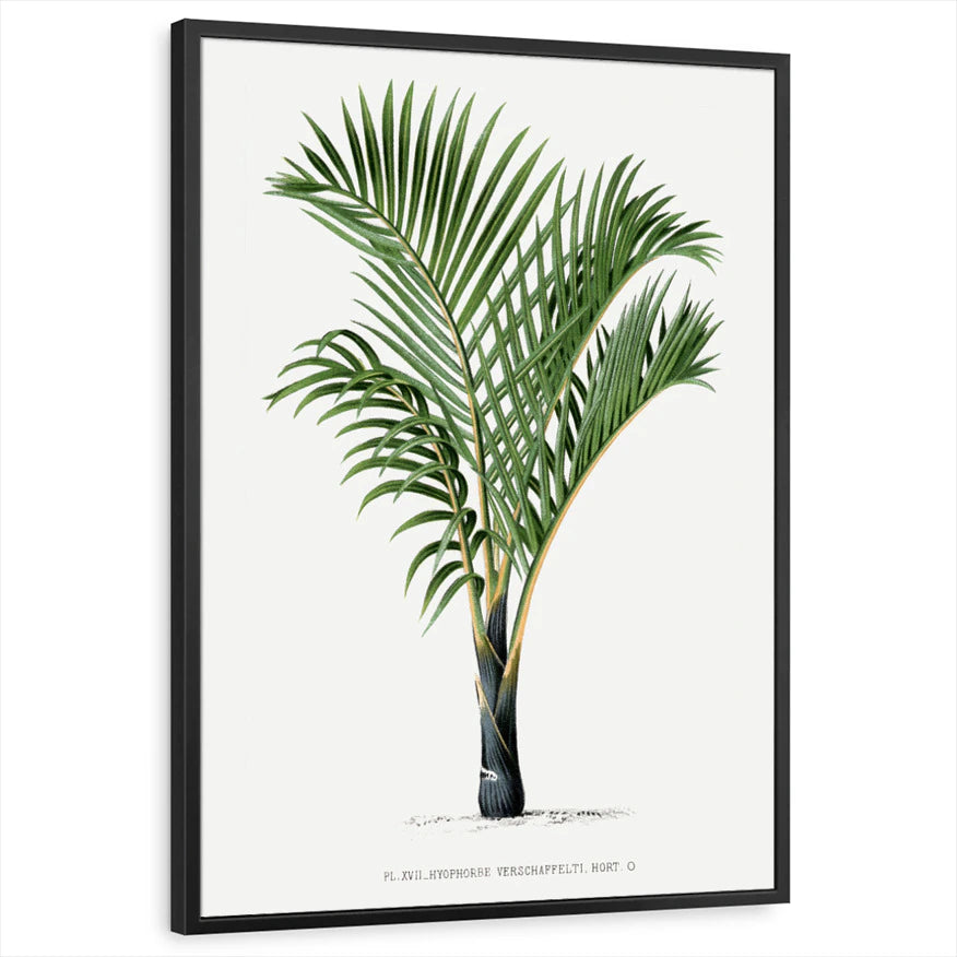 framed-print-black-standard