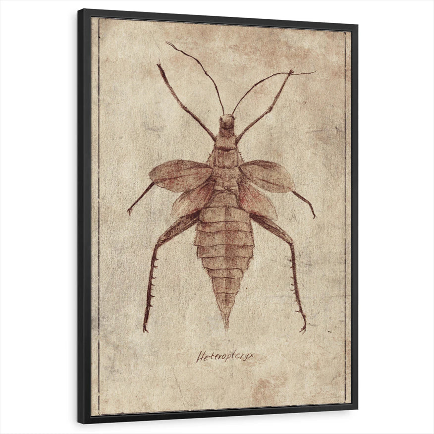 framed-print-black-standard