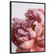 framed-print-black-standard