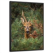 framed-print-black-standard