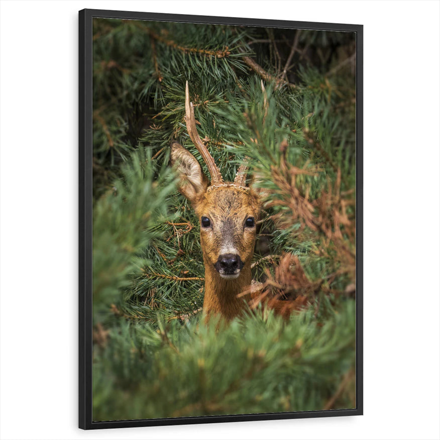 framed-print-black-standard