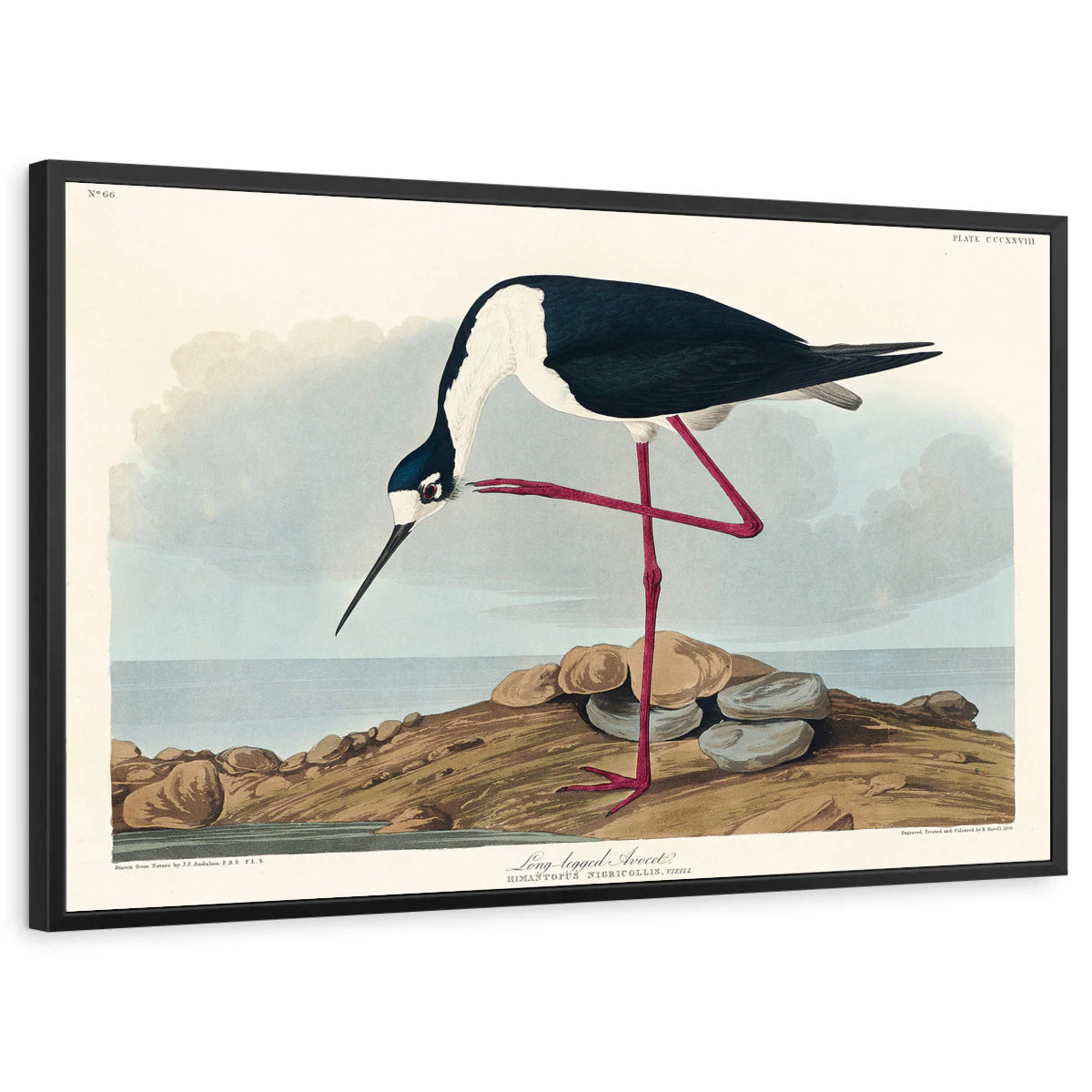 framed-print-black-standard