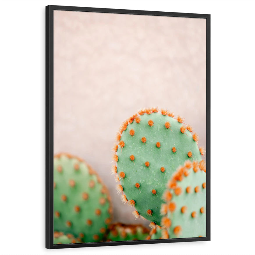 framed-print-black-standard