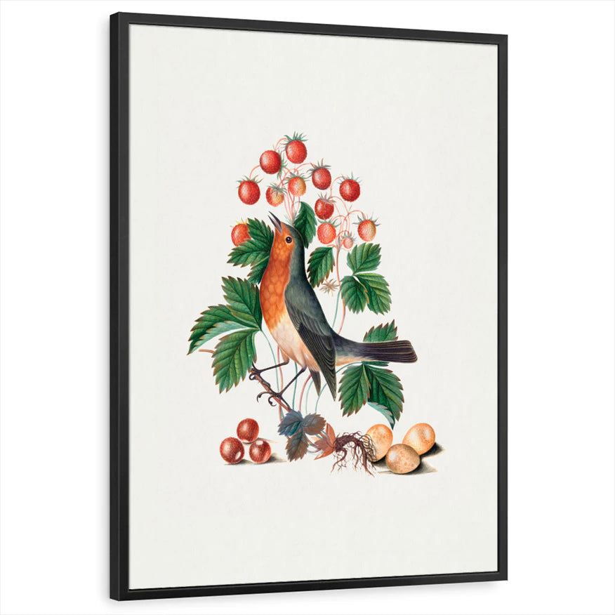 framed-print-black-standard