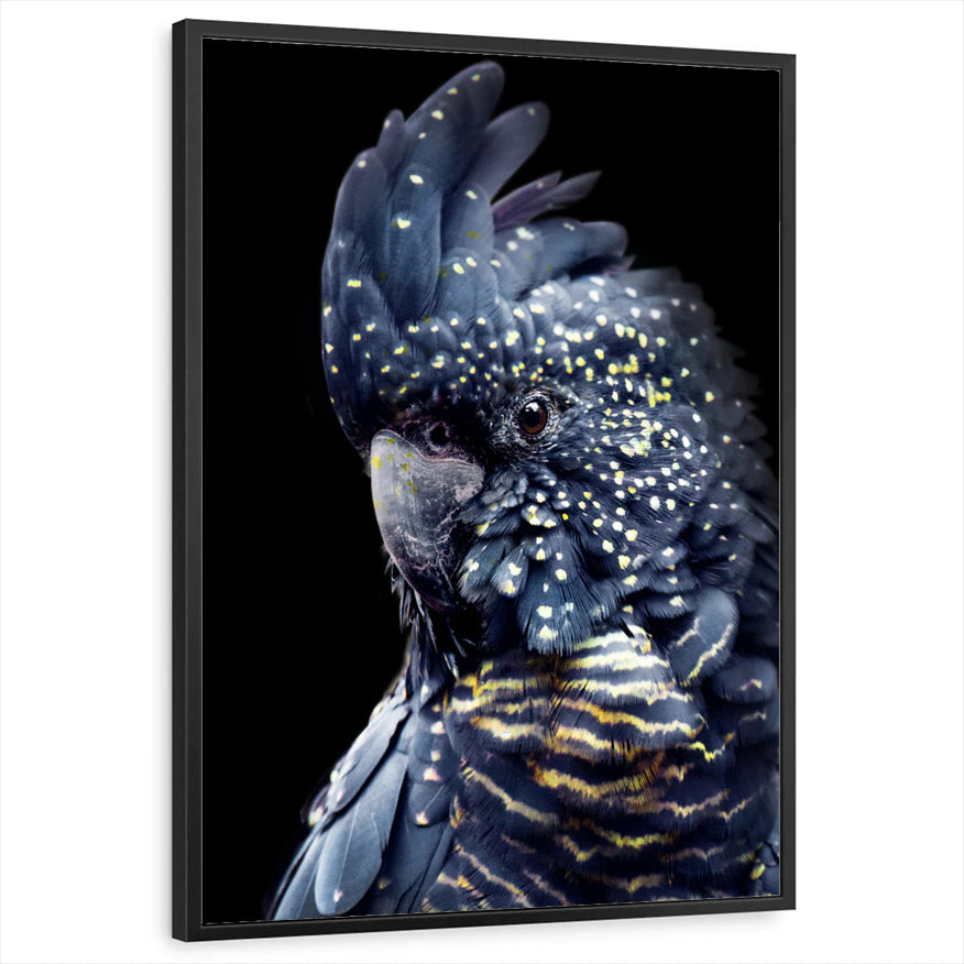 framed-print-black-standard