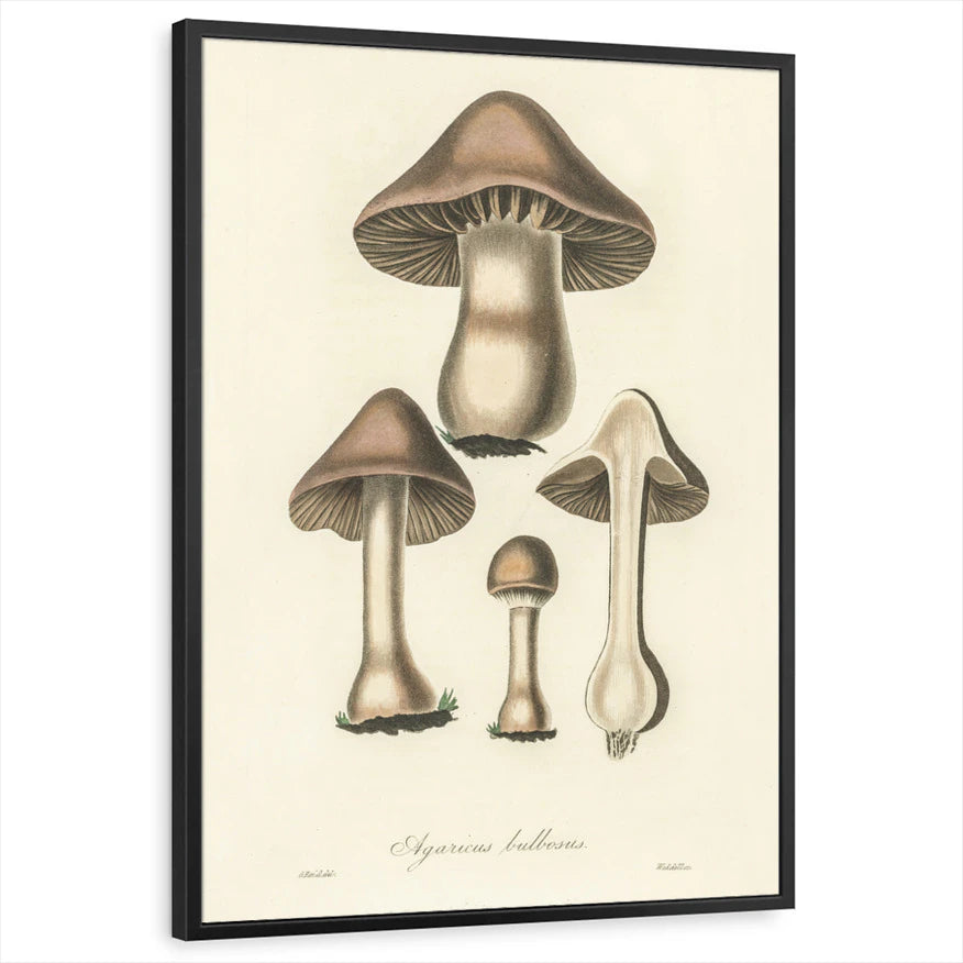 framed-print-black-standard