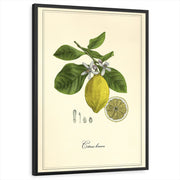 framed-print-black-standard