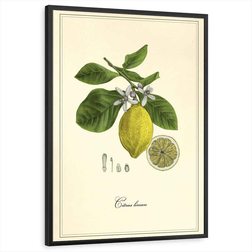 framed-print-black-standard