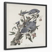 framed-print-black-standard
