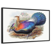 framed-print-black-standard