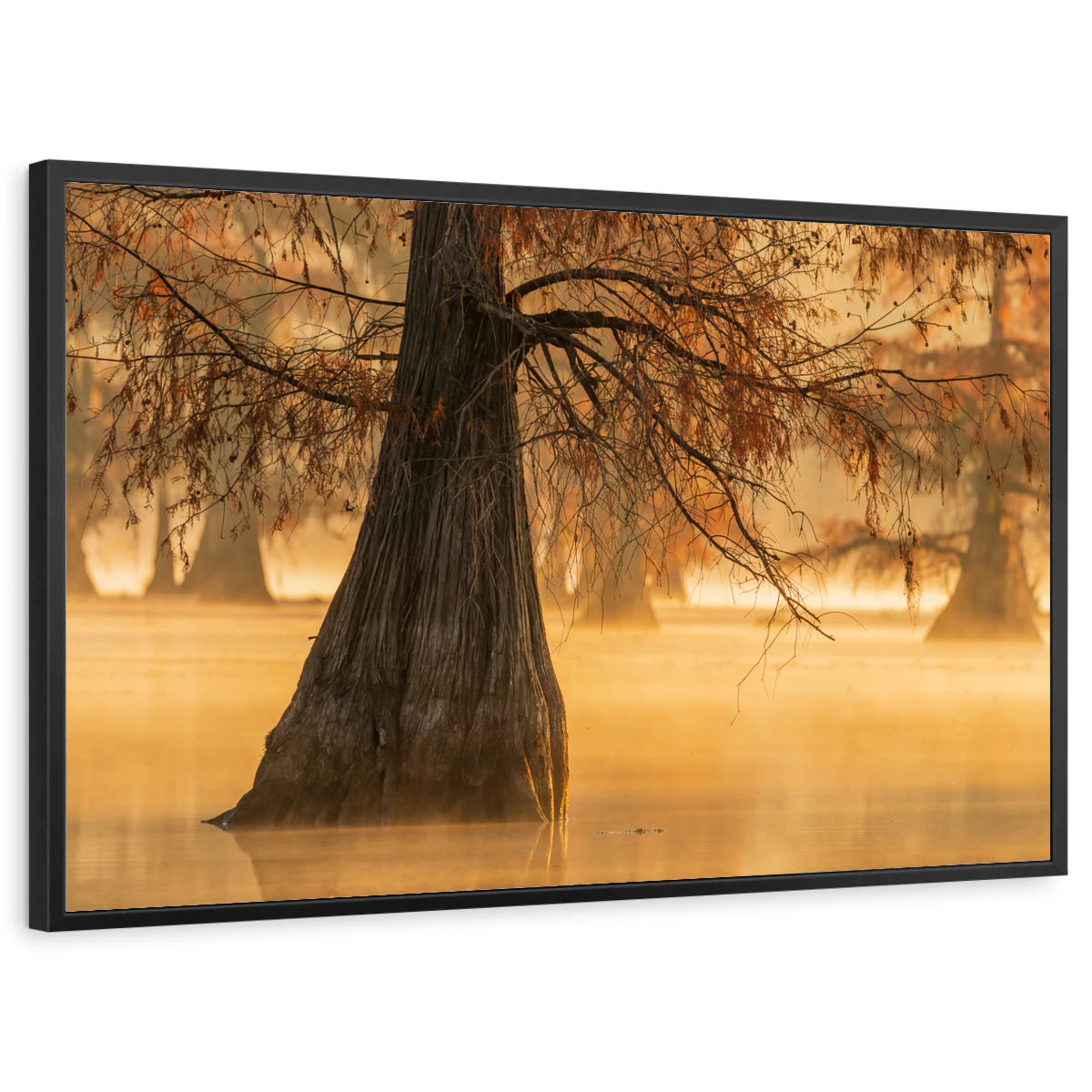framed-print-black-standard