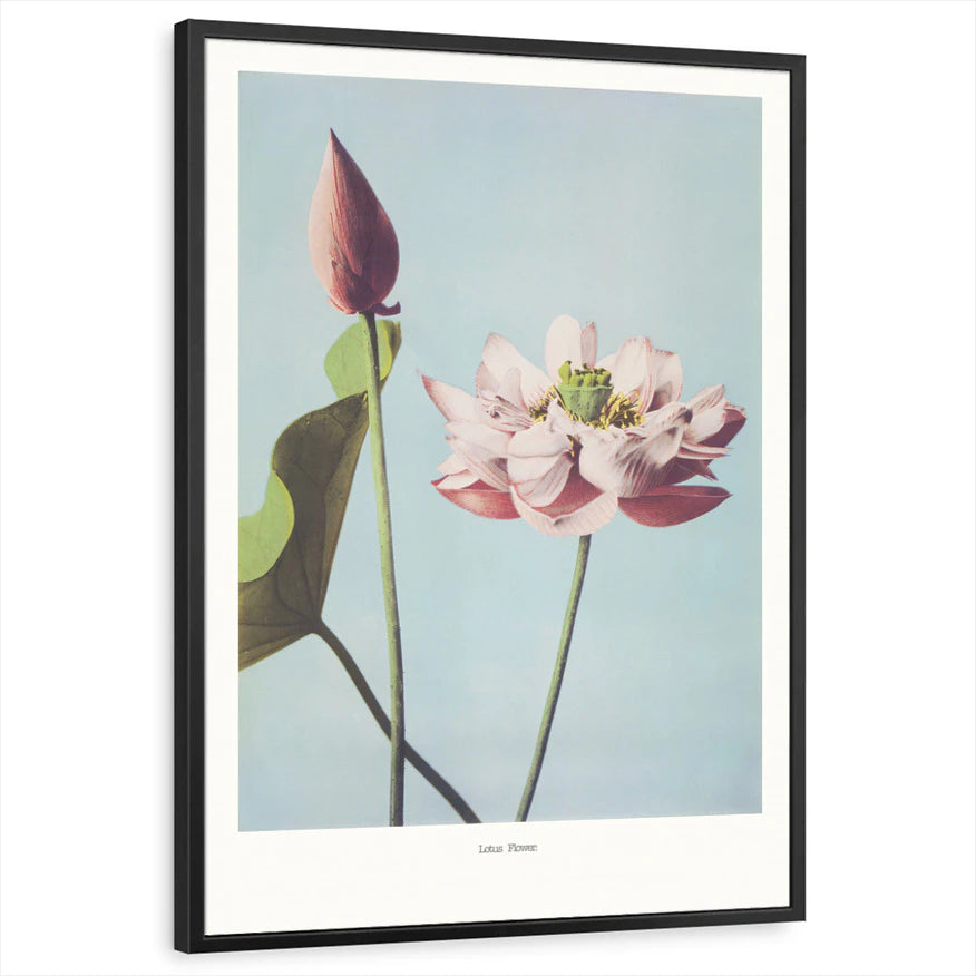 framed-print-black-standard