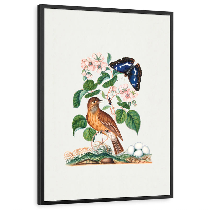 framed-print-black-standard