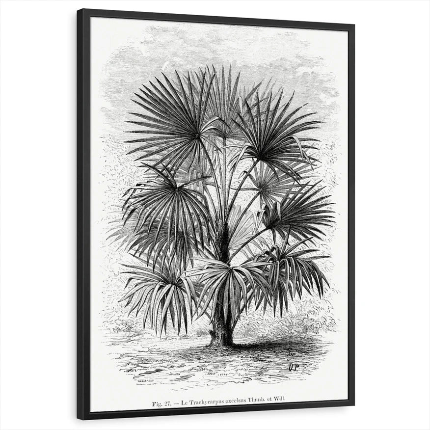 framed-print-black-standard