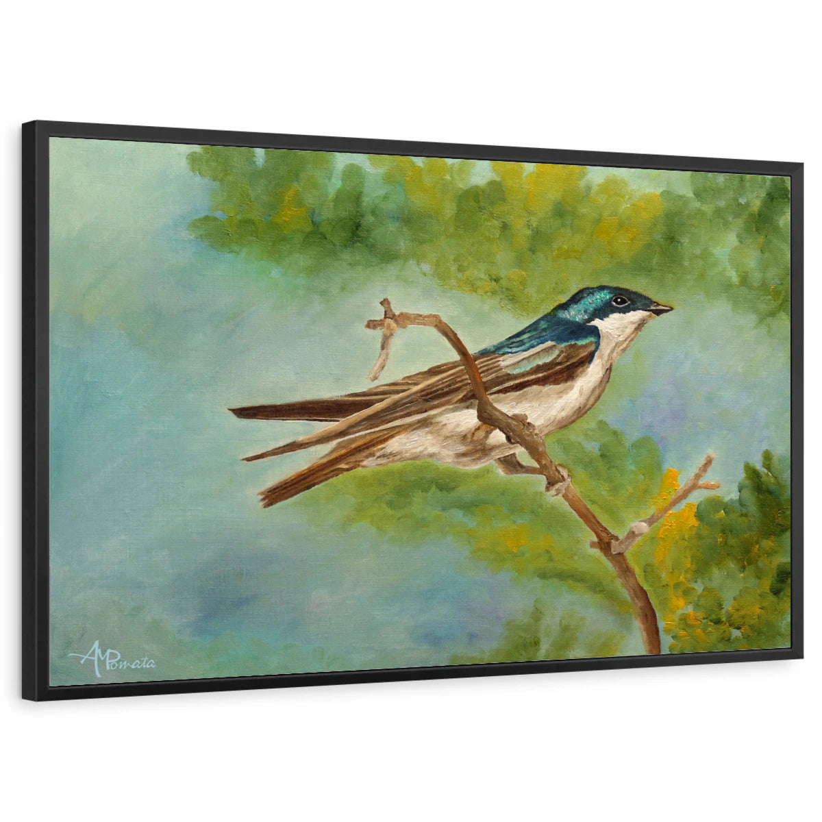 framed-print-black-standard