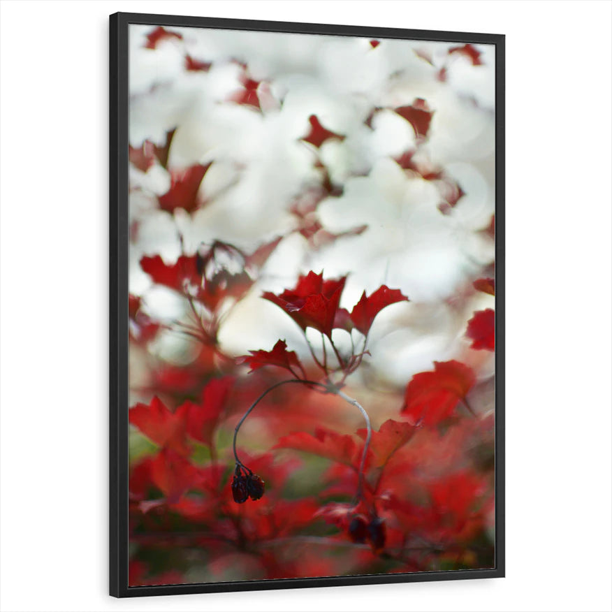 framed-print-black-standard