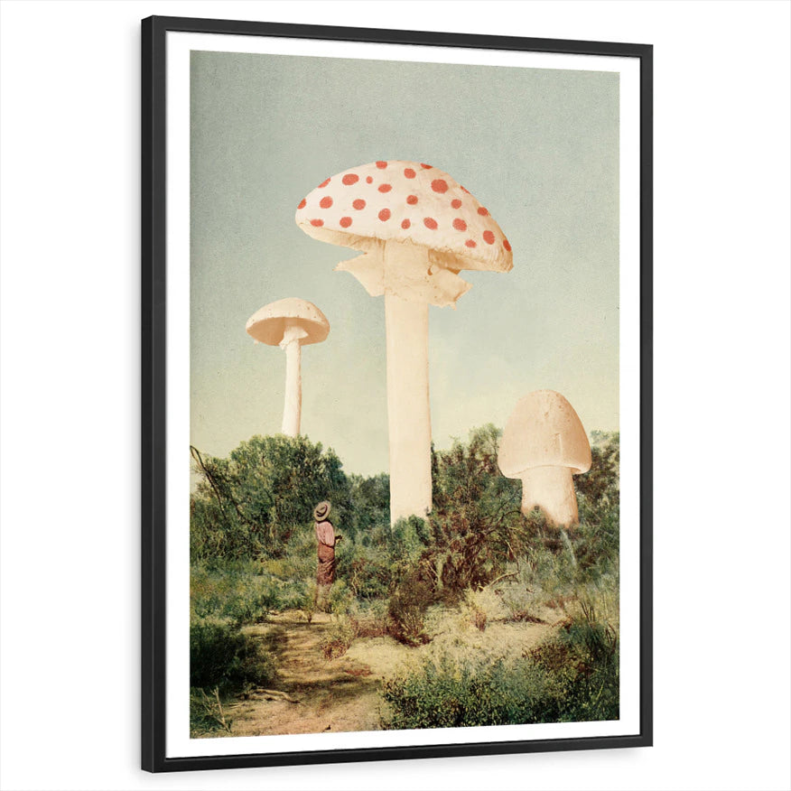 framed-print-black-standard