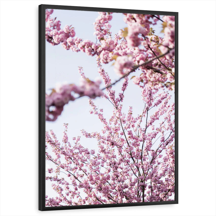 framed-print-black-standard