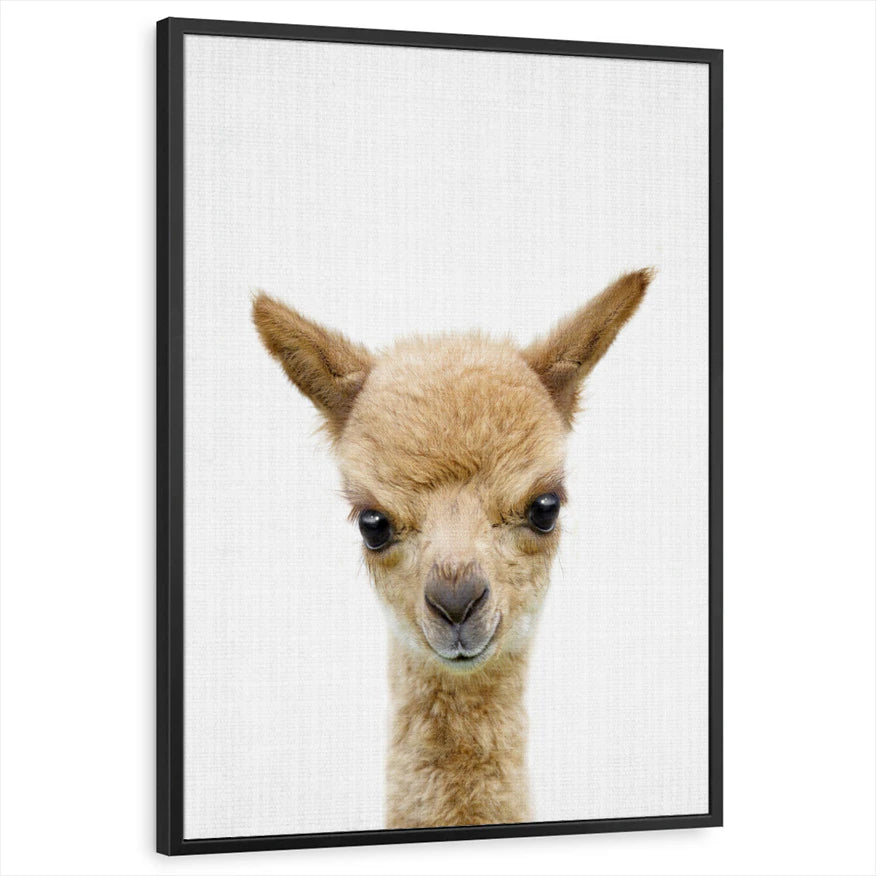 framed-print-black-standard