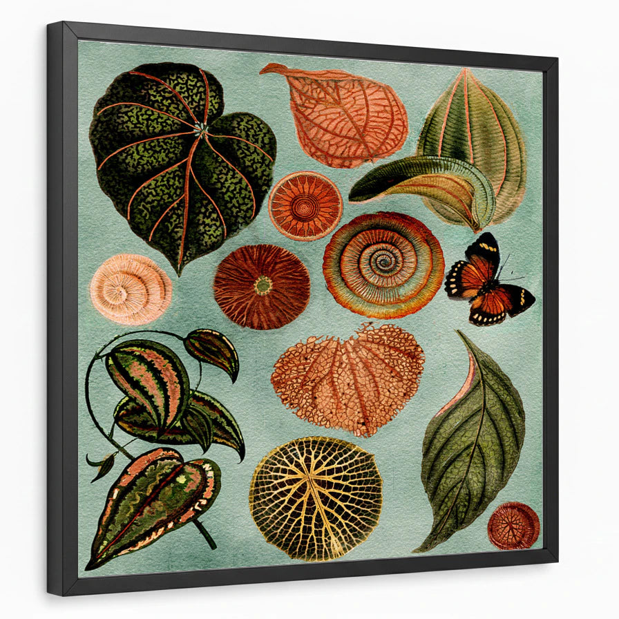 framed-print-black-standard