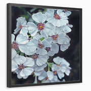 framed-print-black-standard