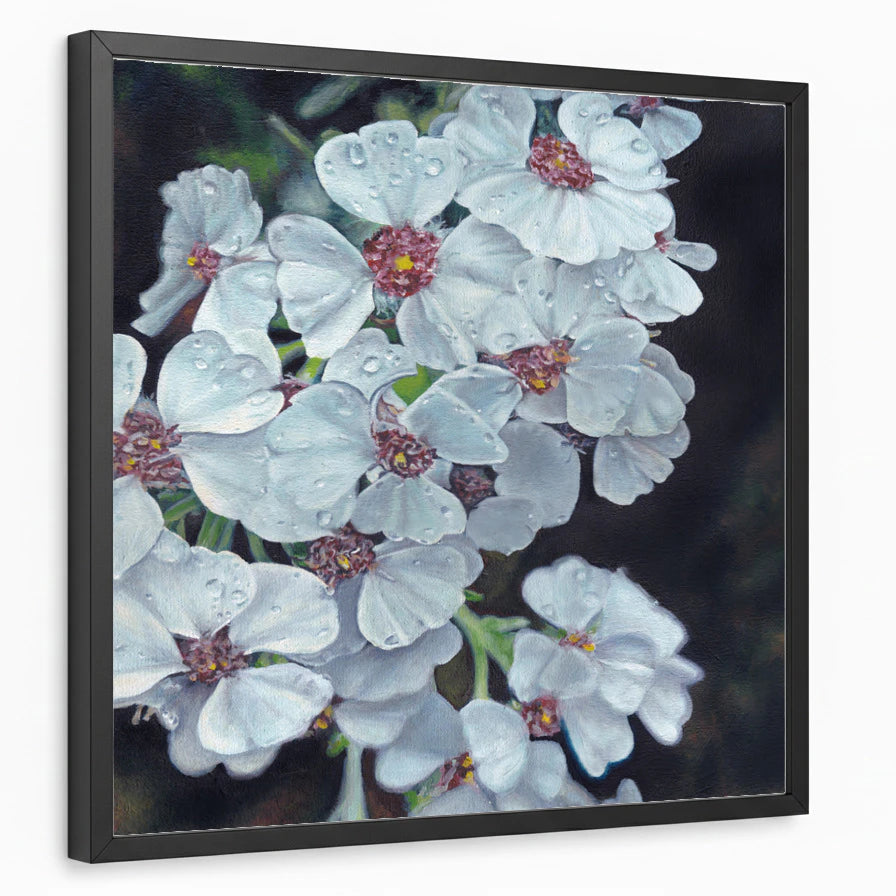 framed-print-black-standard