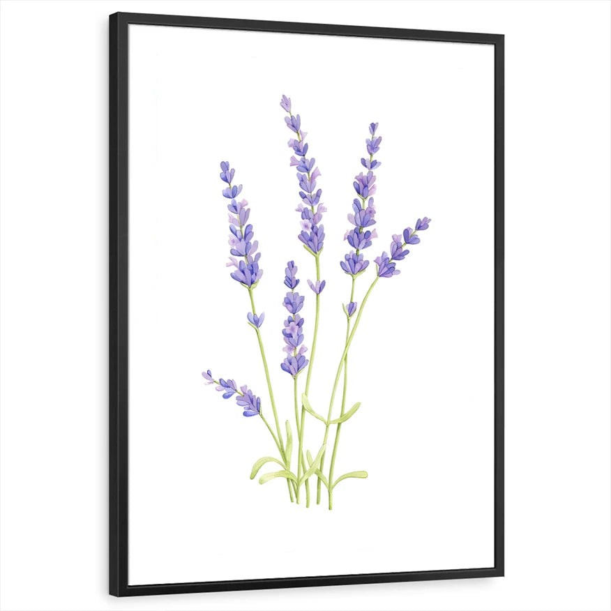 framed-print-black-standard