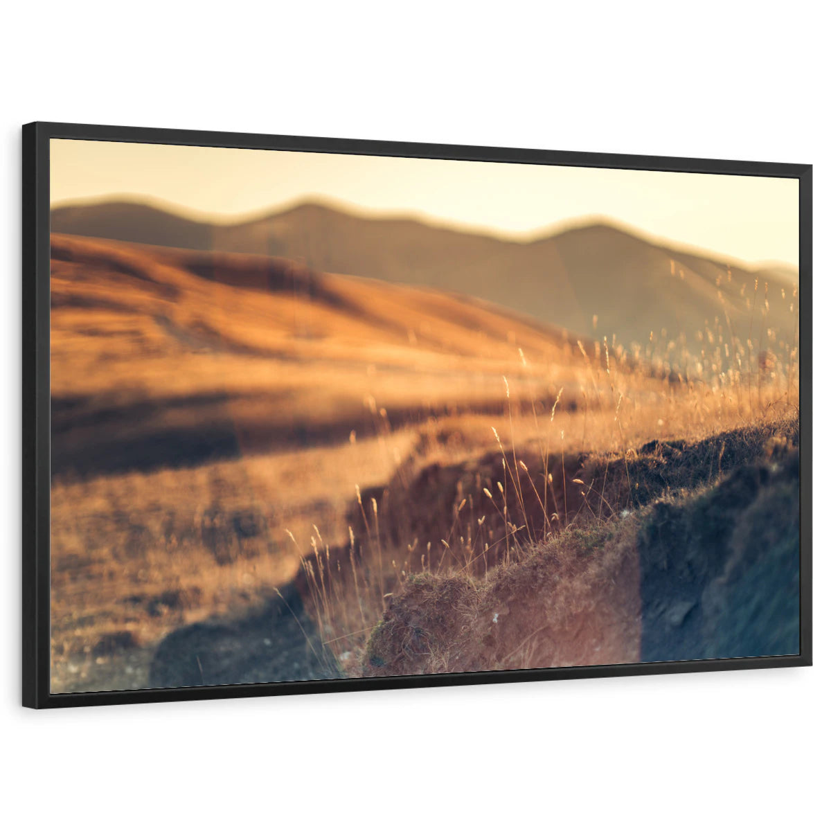 framed-print-black-standard