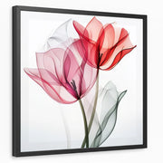 framed-print-black-standard