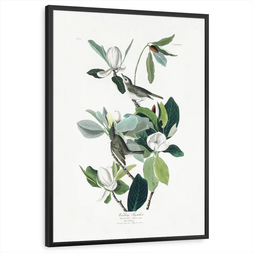 framed-print-black-standard