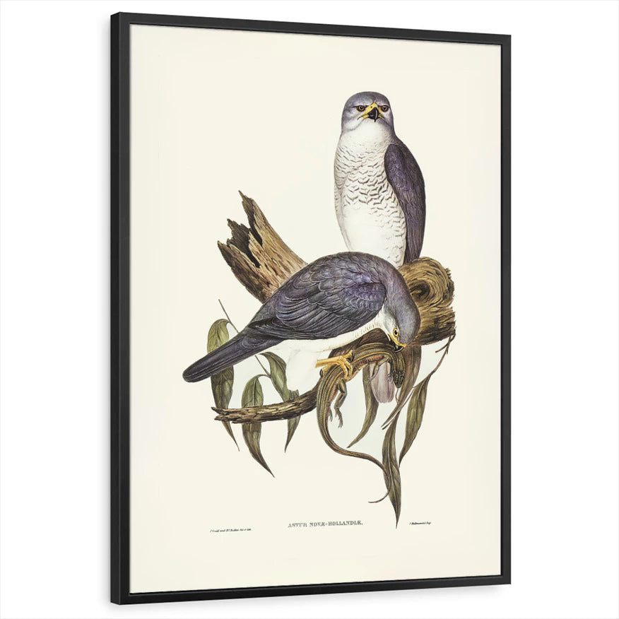 framed-print-black-standard