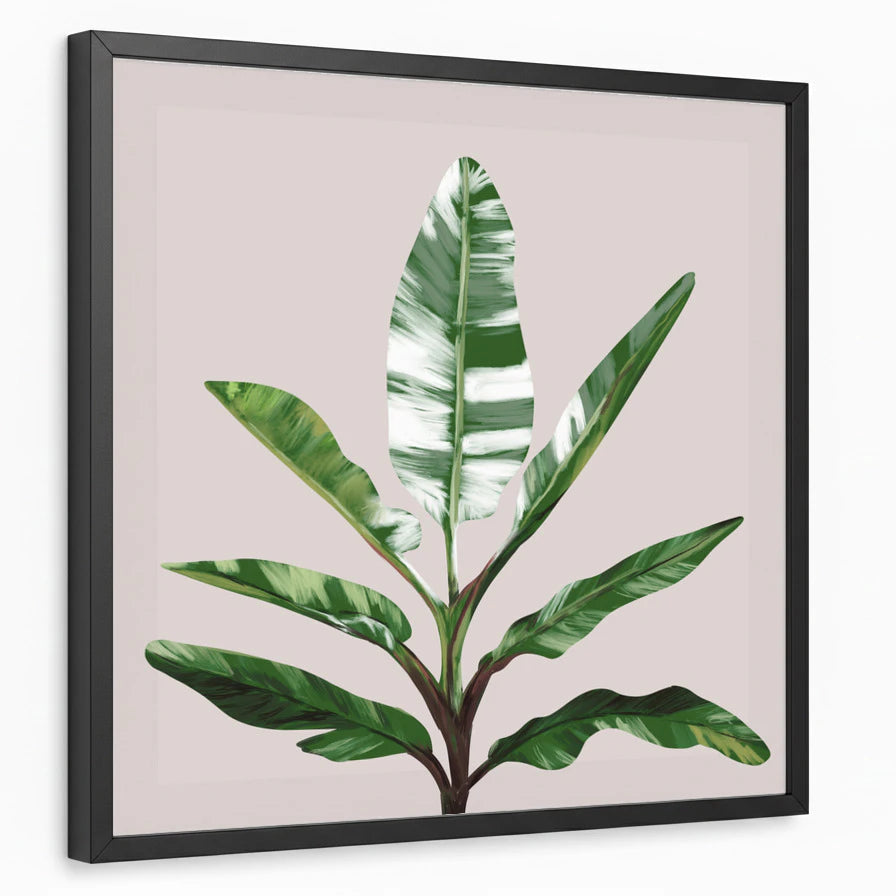 framed-print-black-standard
