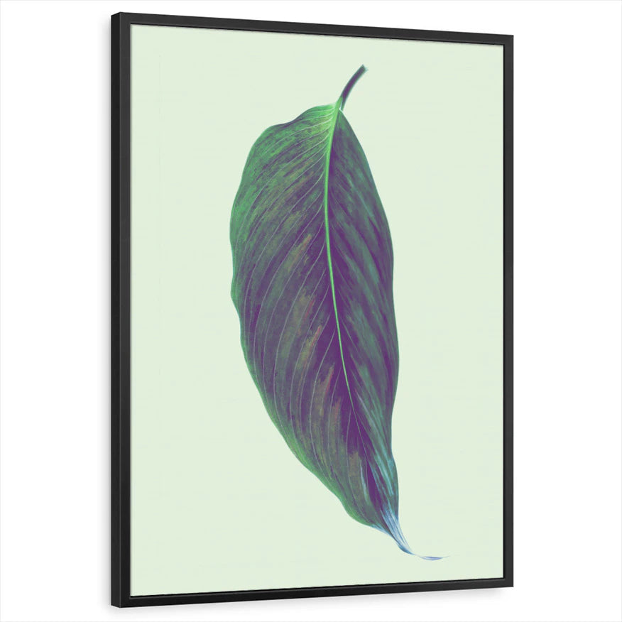 framed-print-black-standard