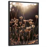 framed-print-black-standard