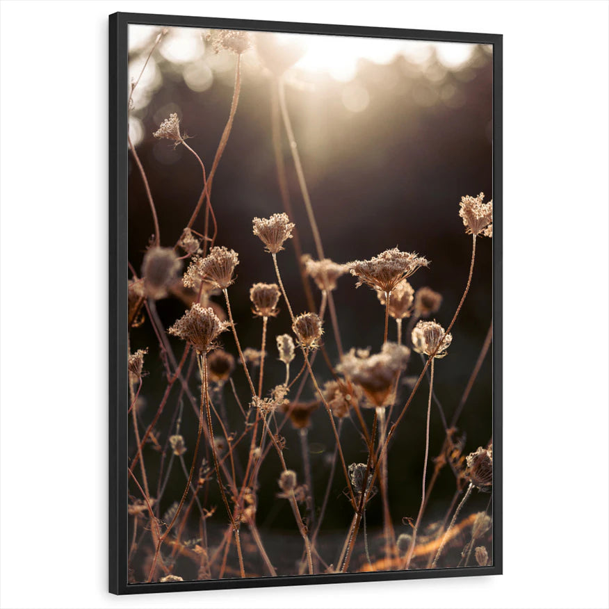 framed-print-black-standard