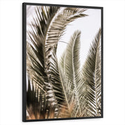 framed-print-black-standard