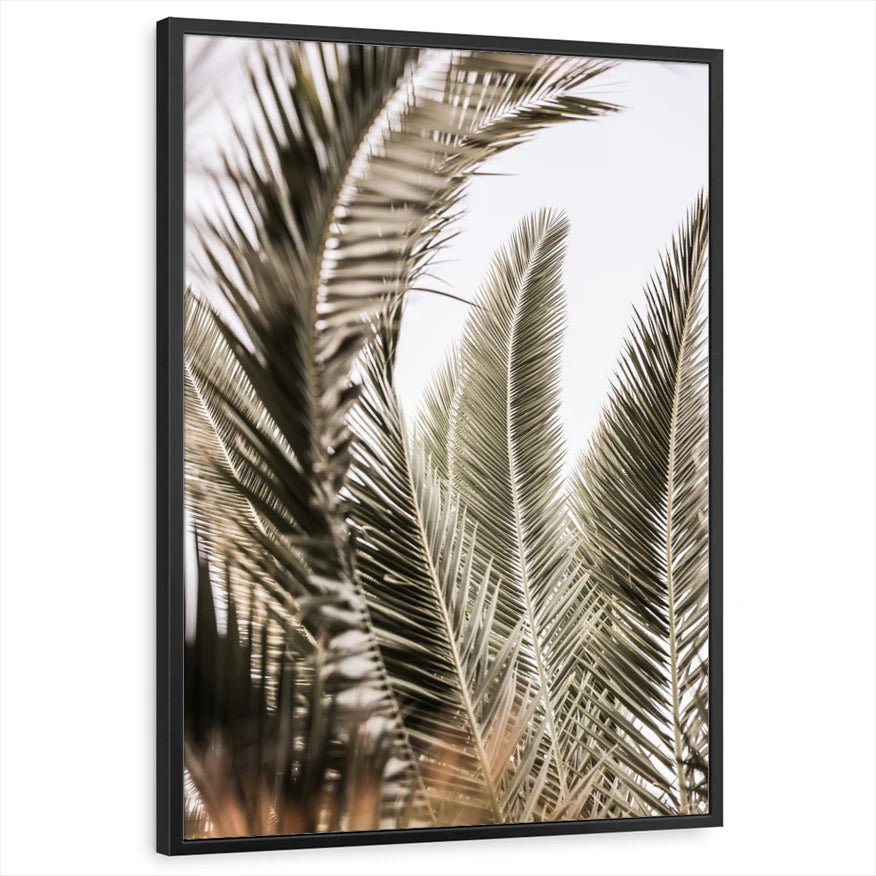 framed-print-black-standard
