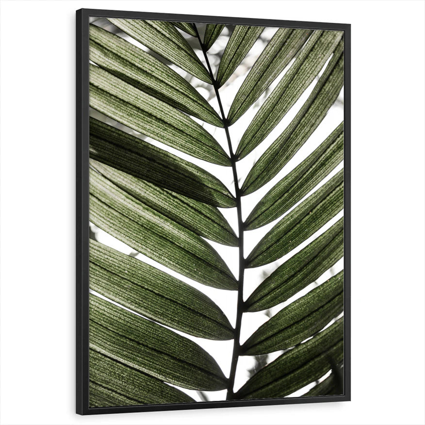 framed-print-black-standard