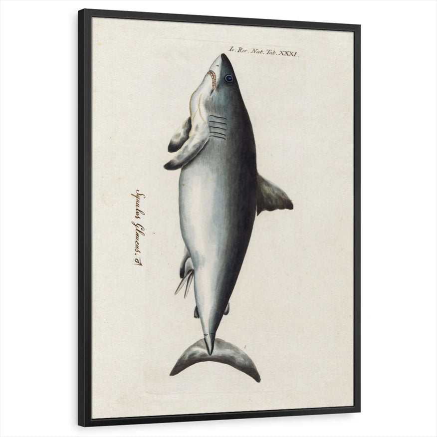 framed-print-black-standard