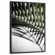 framed-print-black-standard