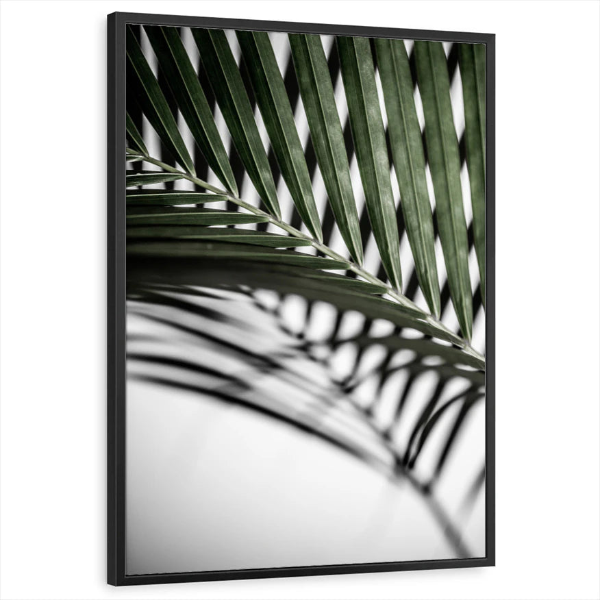 framed-print-black-standard