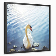 framed-print-black-standard
