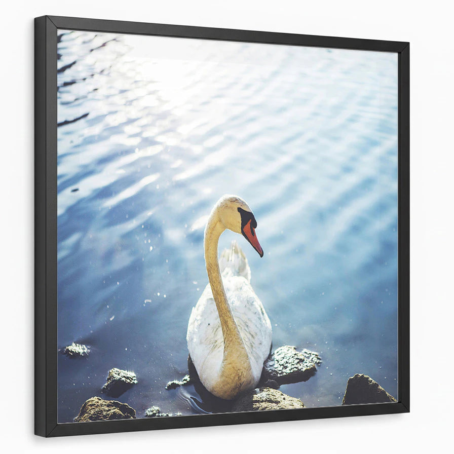 framed-print-black-standard
